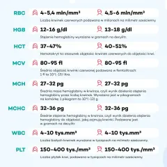 Wyniki badań krwi: RBC, HGB, HCT, MCV, MCH, MCHC, WBC, PLT. To podstawowe parametry koagulogramu, które pomagają ocenić stan zdrowia.