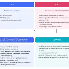 Porównanie VKA i NOAC. Gdy występują przeciwwskazania do NOAC, VKA jest dobrym zamiennikiem.