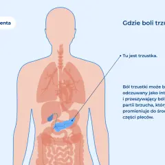 Ilustracja anatomiczna przedstawiająca lokalizację trzustki w ludzkim ciele.