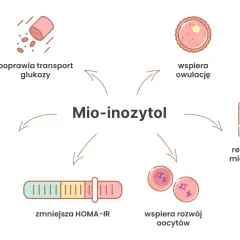 Mio-inozytol: poprawia transport glukozy, lipidogram, zmniejsza HOMA-IR, wspiera rozwój oocytów, owulację i reguluje cykl.