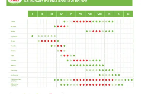 Kiedy pyli sosna? Kalendarz pokazuje, że intensywne pylenie sosny przypada na maj i czerwiec, z różnym nasileniem.