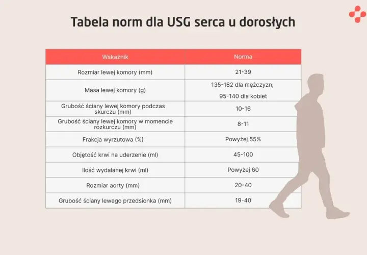 Tabela norm dla USG serca. Sprawdź, co to jest echo serca i jakie są prawidłowe wartości dla dorosłych.