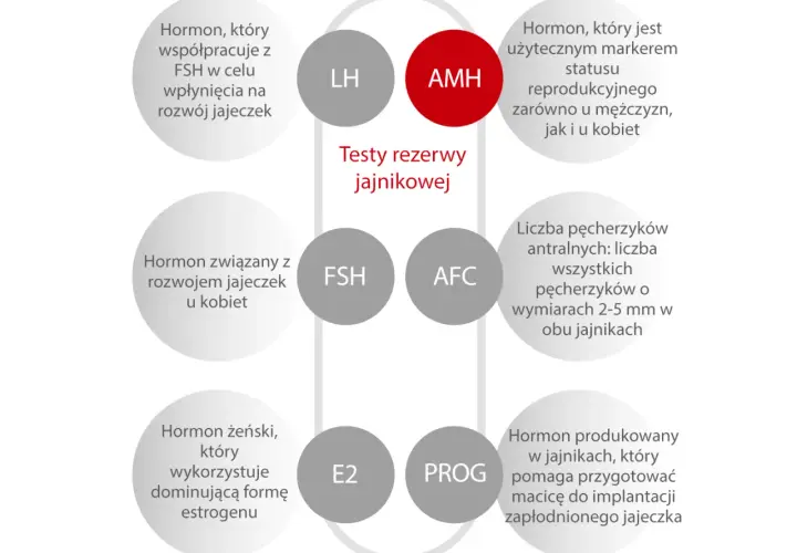 AMH to marker płodności, kluczowy w ocenie rezerwy jajnikowej.
