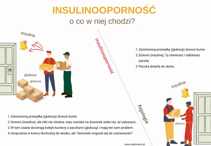 Ilustracja pokazuje kuriera z paczką glukozy i dzwonek z napisem insulina. Dzwonek dzwoni, ale nikt nie otwiera, co symbolizuje insulinooporność.