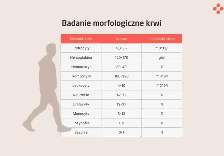 Tabela badań morfologicznych krwi. Leukocyty, czyli białe krwinki, to ważny element układu odpornościowego, a ich norma wynosi 4-10.