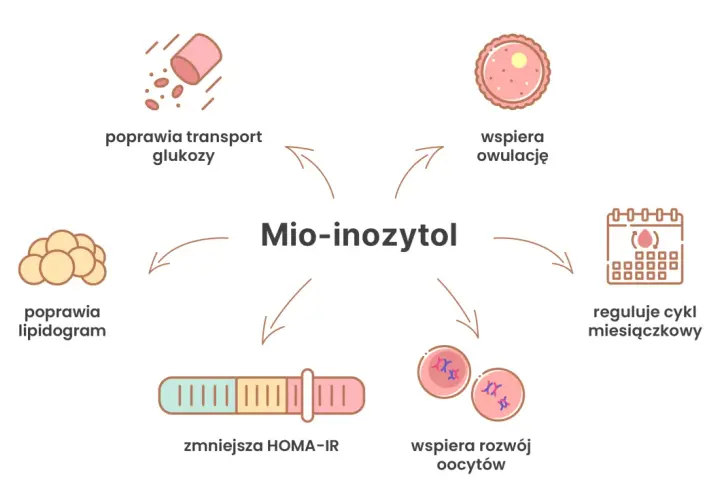 Mio-inozytol: poprawia transport glukozy, lipidogram, zmniejsza HOMA-IR, wspiera rozwój oocytów, owulację i reguluje cykl.