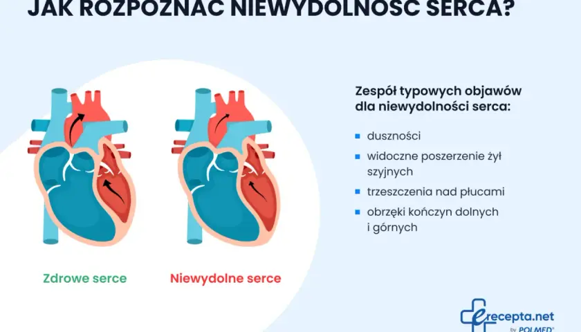 Ilustracja porównuje zdrowe serce z niewydolnym, wymieniając objawy niewydolności krążenia: duszności, obrzęki.