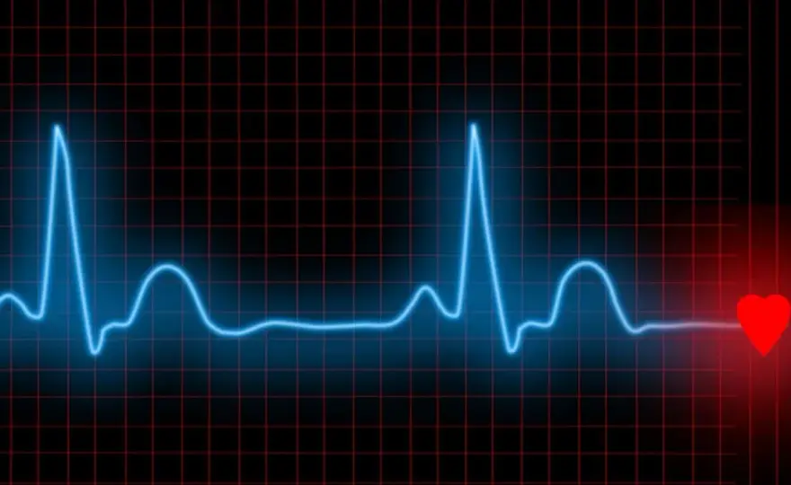 Zmienność rytmu serca (HRV) - Jak czytać wyniki i dbać o regenerację?