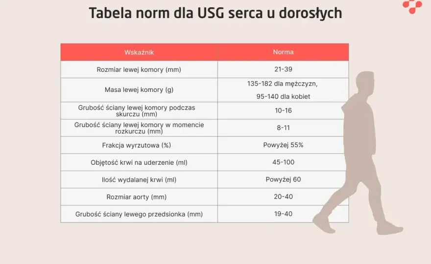 Echo serca: co to jest i co oznacza Twój wynik?