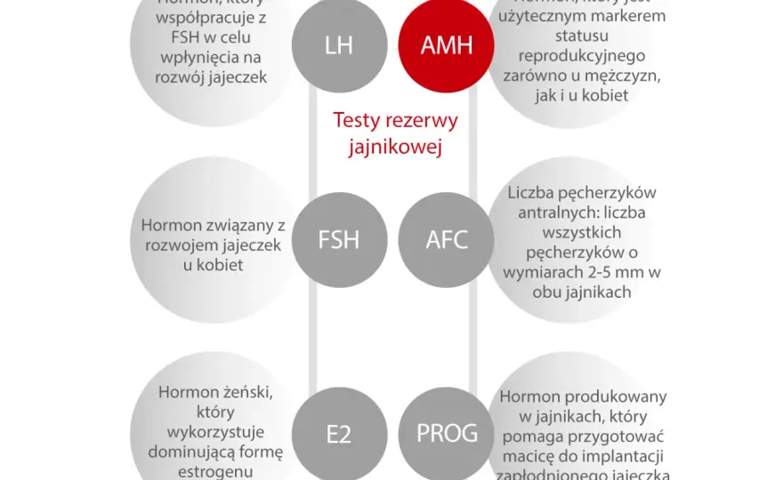 Badanie AMH - co mówi o rezerwie jajnikowej i płodności?