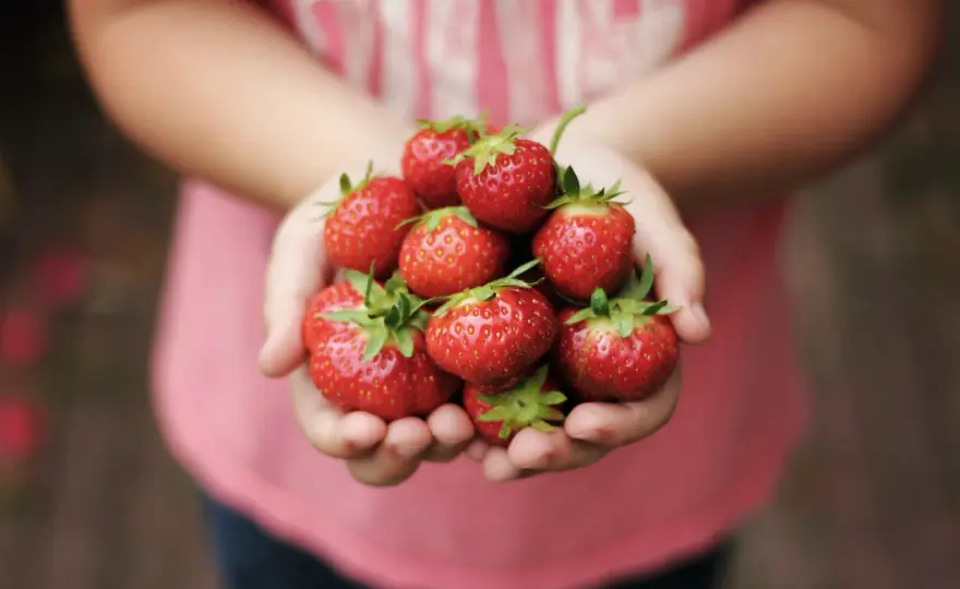 Truskawki - Ile kcal? Jedz na diecie bez liczenia!