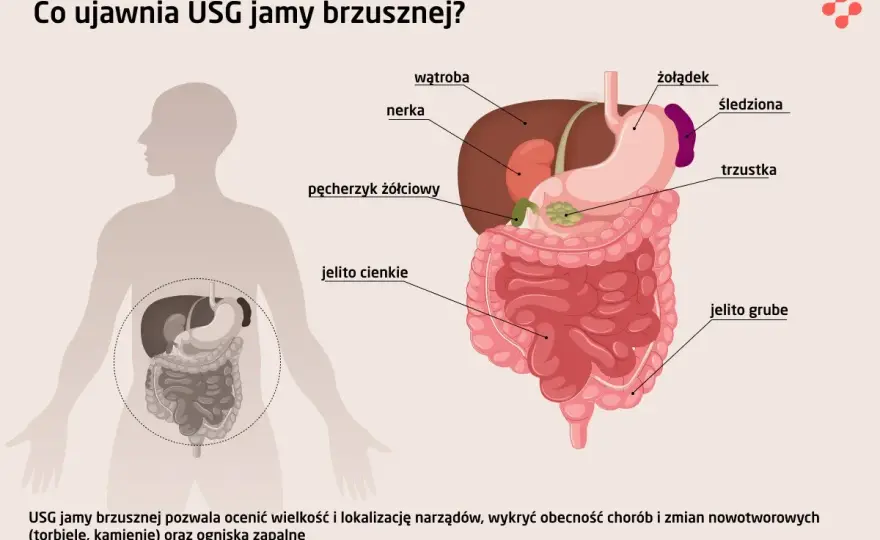 USG brzucha - Co naprawdę widać i jak czytać wynik?