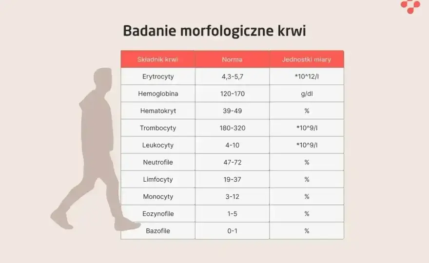 Leukocyty w morfologii - kiedy wynik powinien niepokoić?