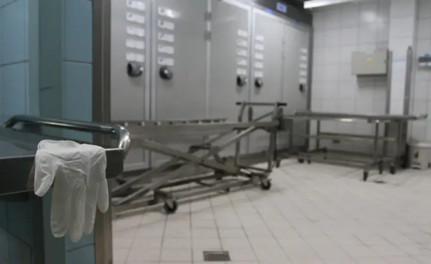 Prosektorium - Sekcja zwłok - Co musisz wiedzieć i kiedy działać.