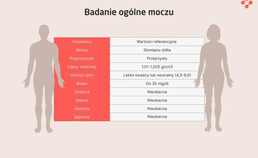 Badanie moczu - Jak czytać wynik i kiedy do lekarza?