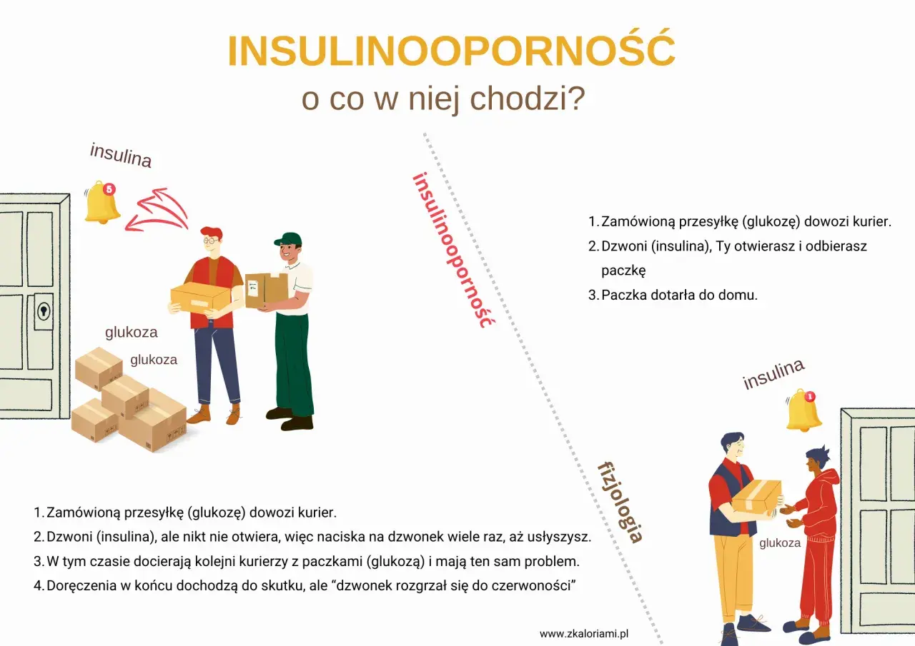 Ilustracja pokazuje kuriera z paczką glukozy i dzwonek z napisem insulina. Dzwonek dzwoni, ale nikt nie otwiera, co symbolizuje insulinooporność.