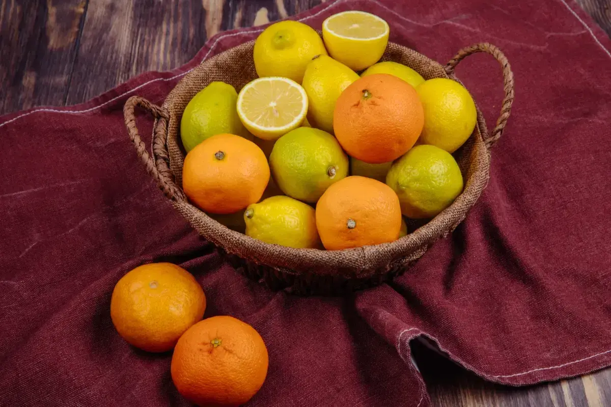 Koszyk pełen cytrusów: pomarańczy, cytryn i limonek. Te owoce są bogate w hesperydynę, cenny flawonoid.