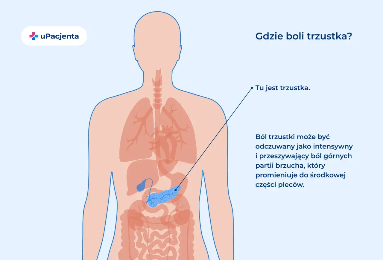 Ilustracja anatomiczna przedstawiająca lokalizację trzustki w ludzkim ciele.
