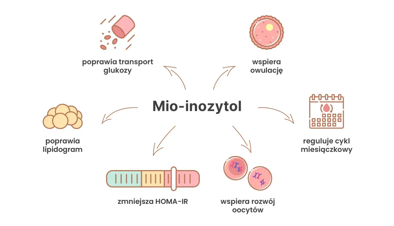 Mio-inozytol: poprawia transport glukozy, lipidogram, zmniejsza HOMA-IR, wspiera rozwój oocytów, owulację i reguluje cykl.